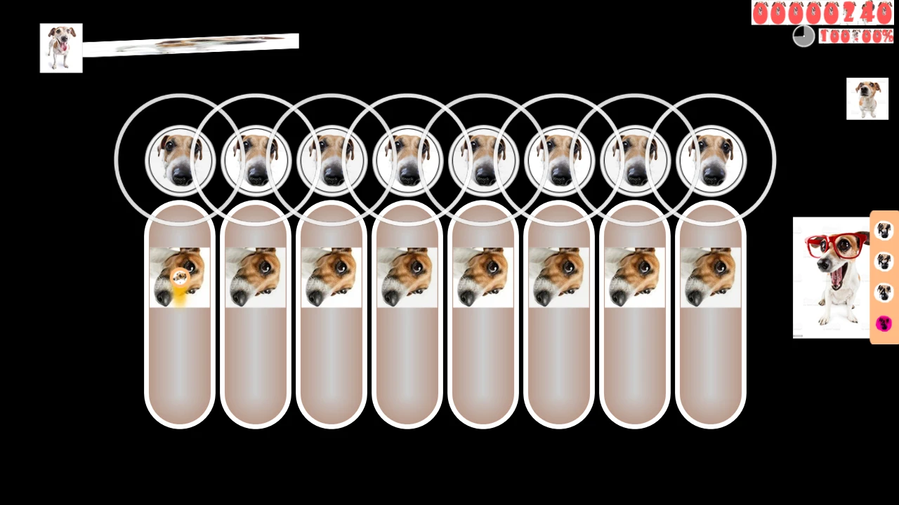 #WhatTheDOGdoin# Thumbnail