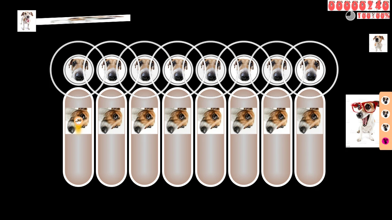 #WhatTheDOGdoin# Thumbnail