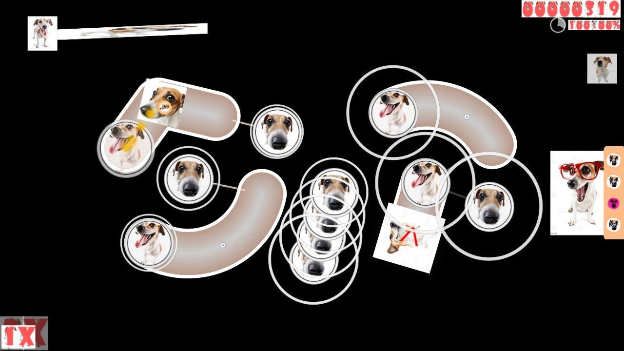 #WhatTheDOGdoin# Thumbnail